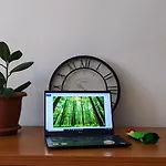 Green Apartment Sarajevo *