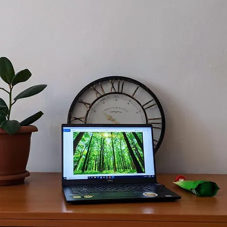 Green Apartment Sarajevo *