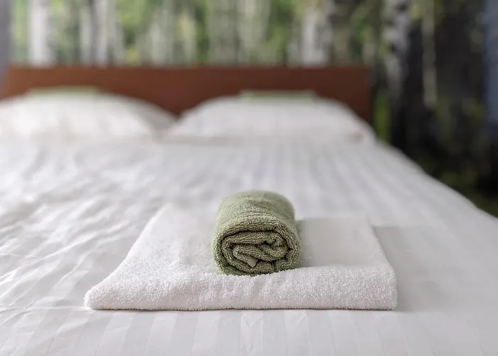 Green Apartment Sarajevo 公寓