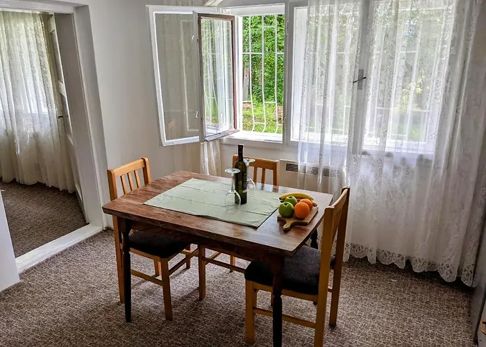 Green Apartment Sarajevo 公寓 塞拉耶佛